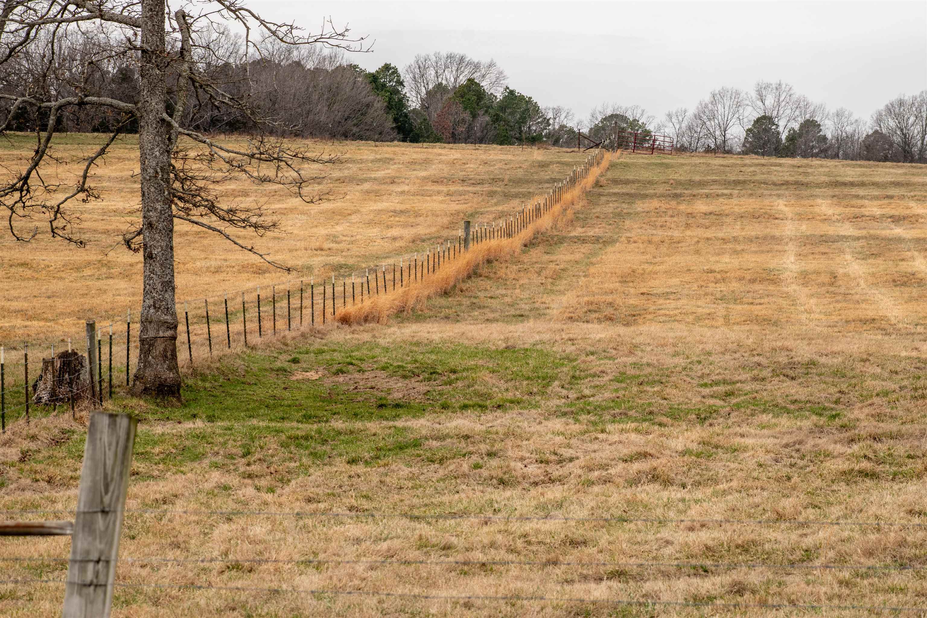 1250 Cutoff Road  Melbourne, AR