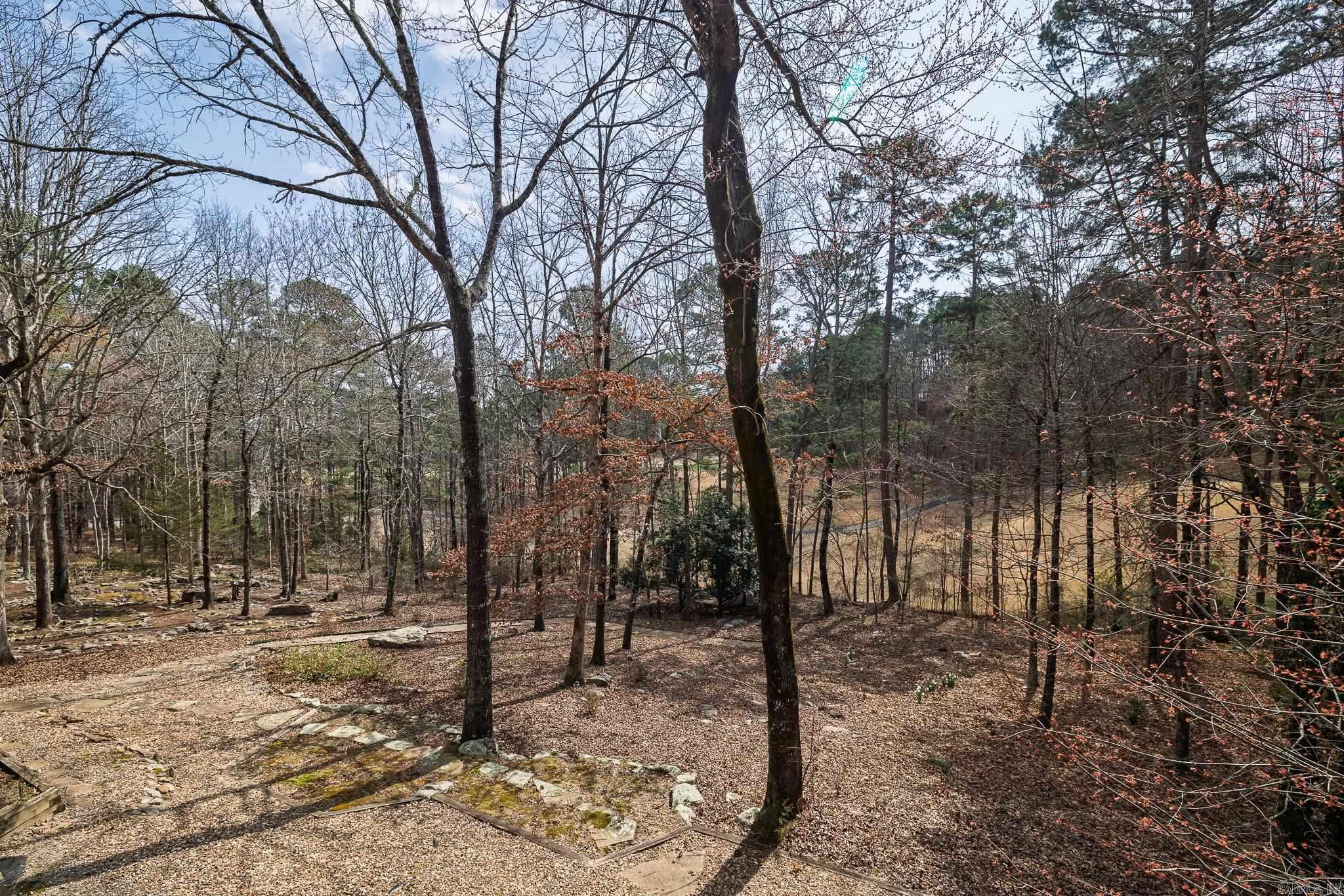 12 almendra lane  Hot Springs Village, AR