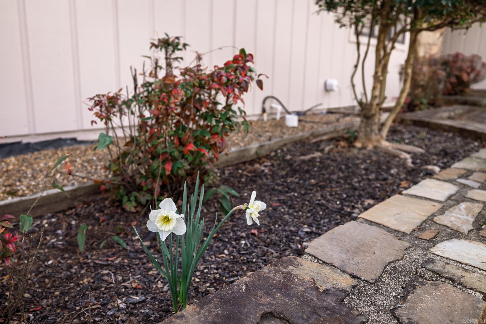 12 almendra lane  Hot Springs Village, AR