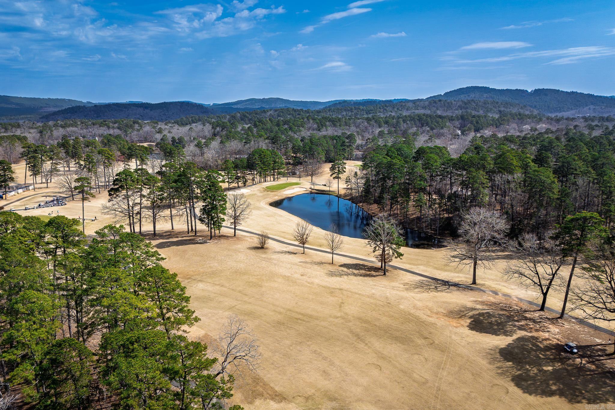 12 almendra lane  Hot Springs Village, AR