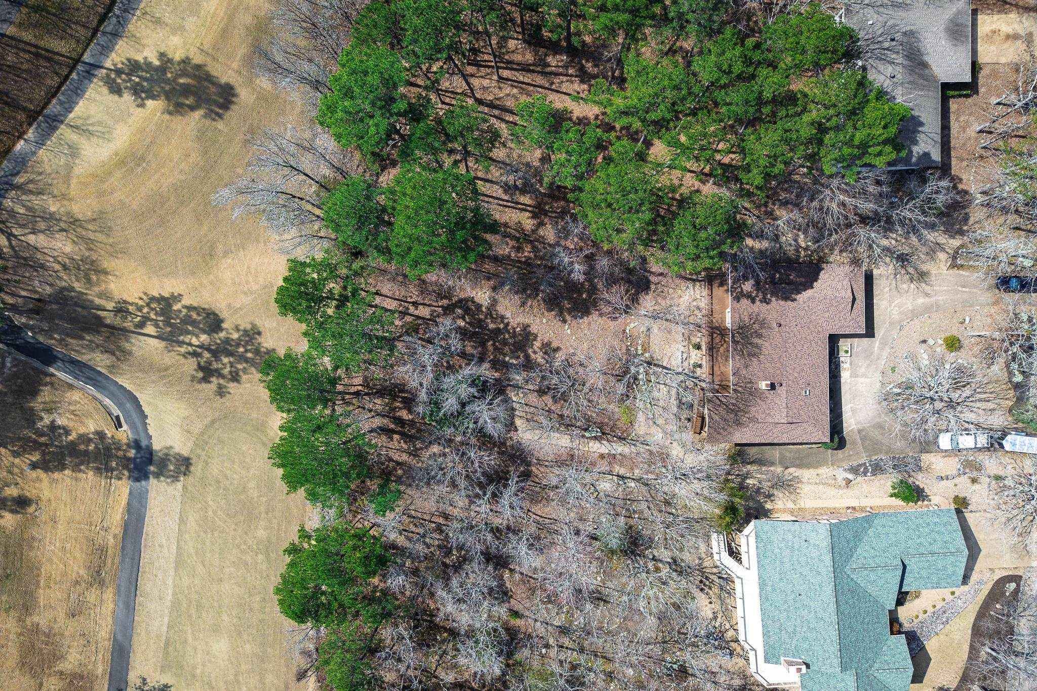 12 almendra lane  Hot Springs Village, AR