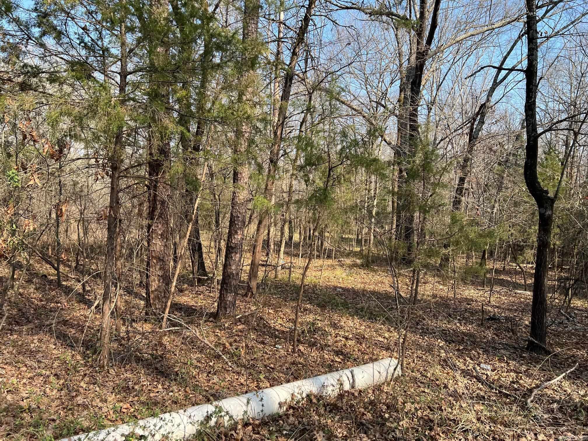 00 Tribal Ridge  Mayflower, AR