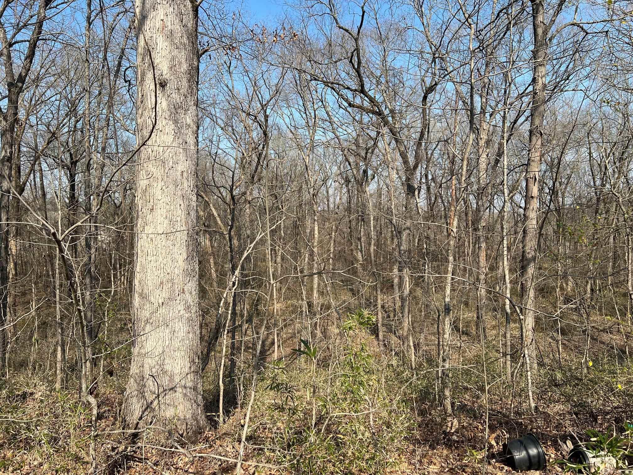 00 Tribal Ridge  Mayflower, AR