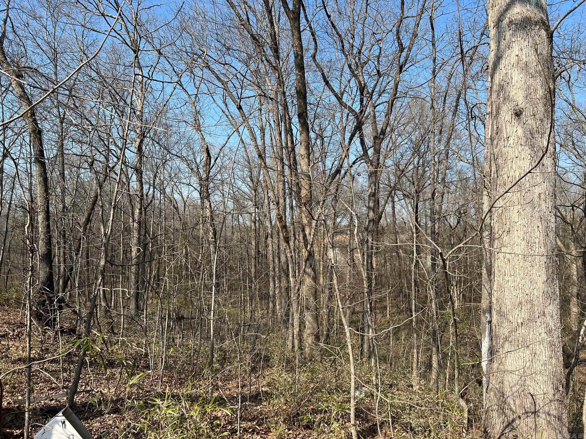 00 Tribal Ridge  Mayflower, AR