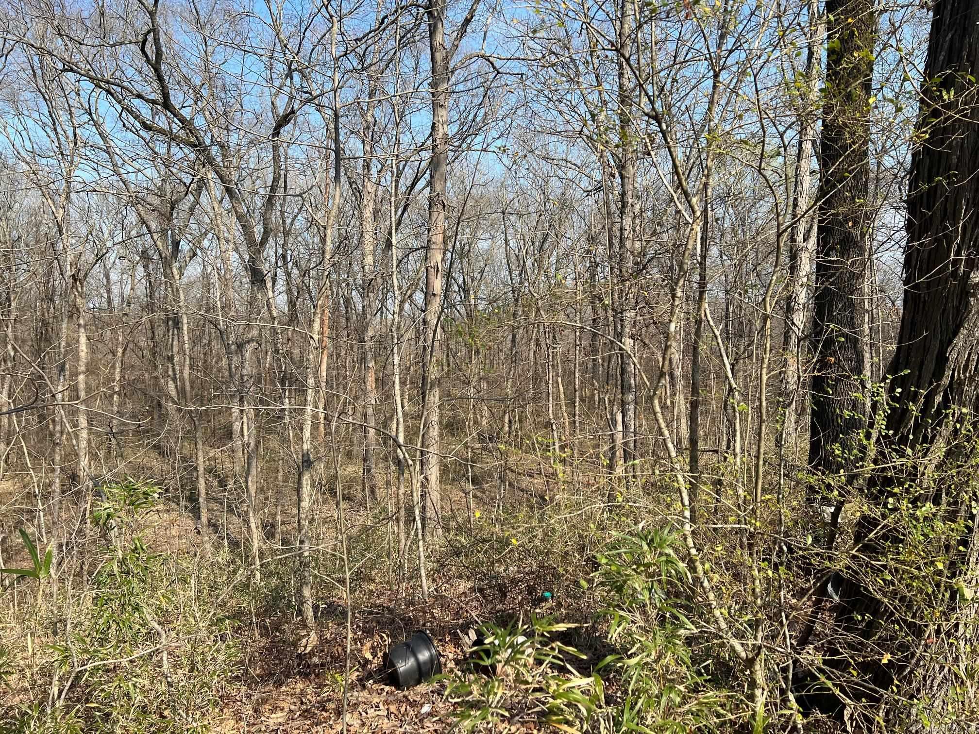 00 Tribal Ridge  Mayflower, AR