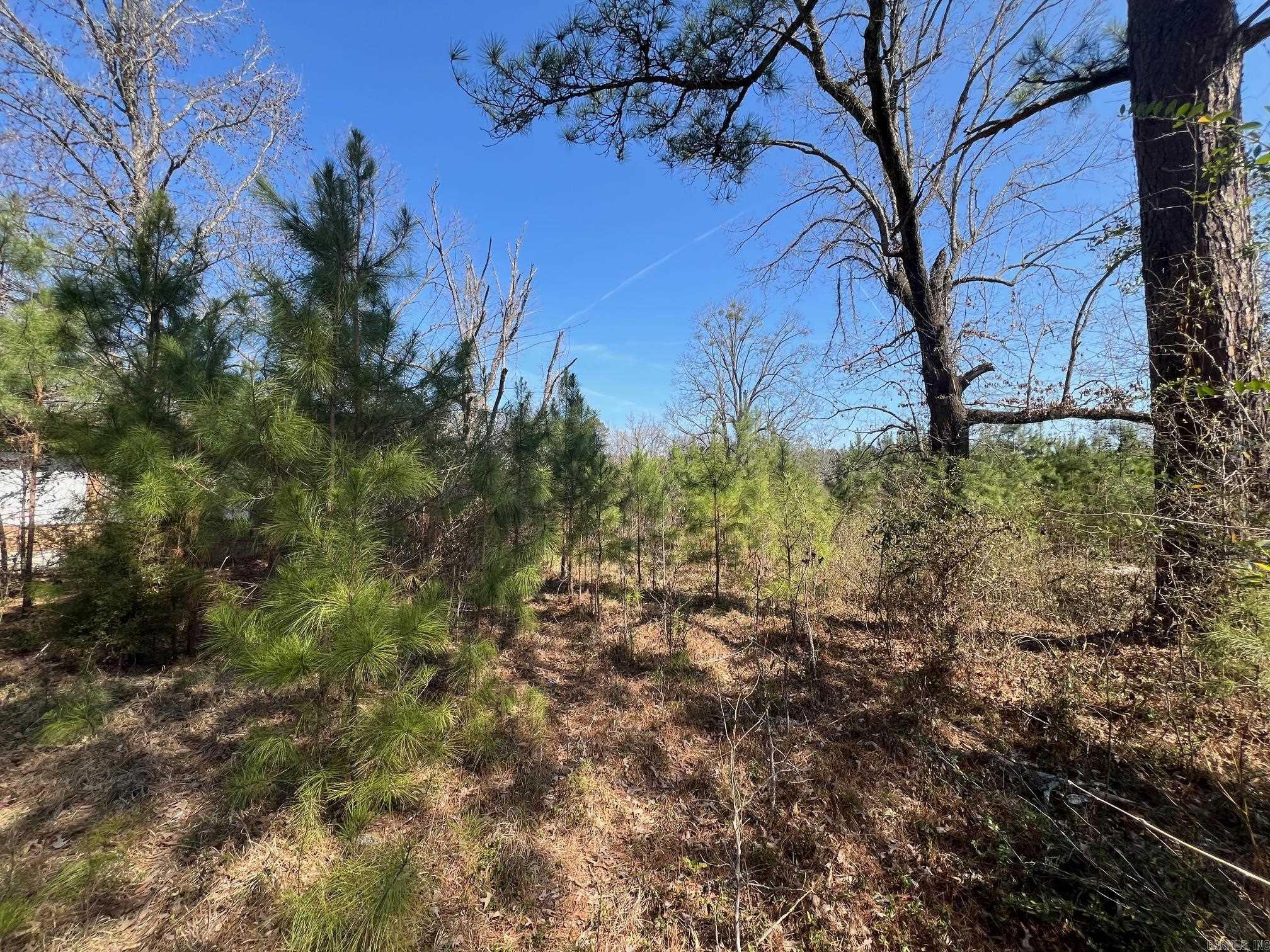 9417 Sulphur Springs  Pine Bluff, AR