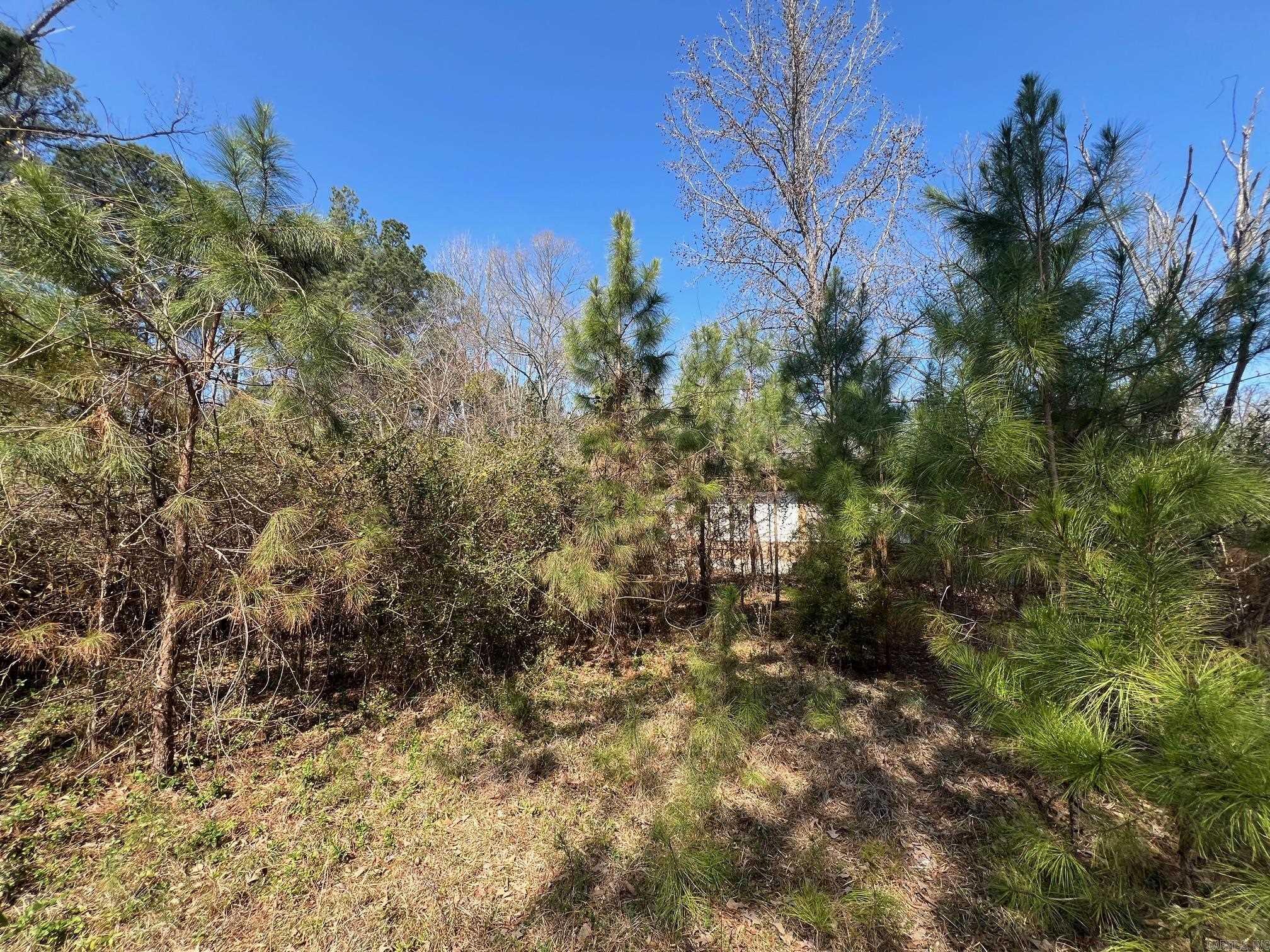 9417 Sulphur Springs  Pine Bluff, AR