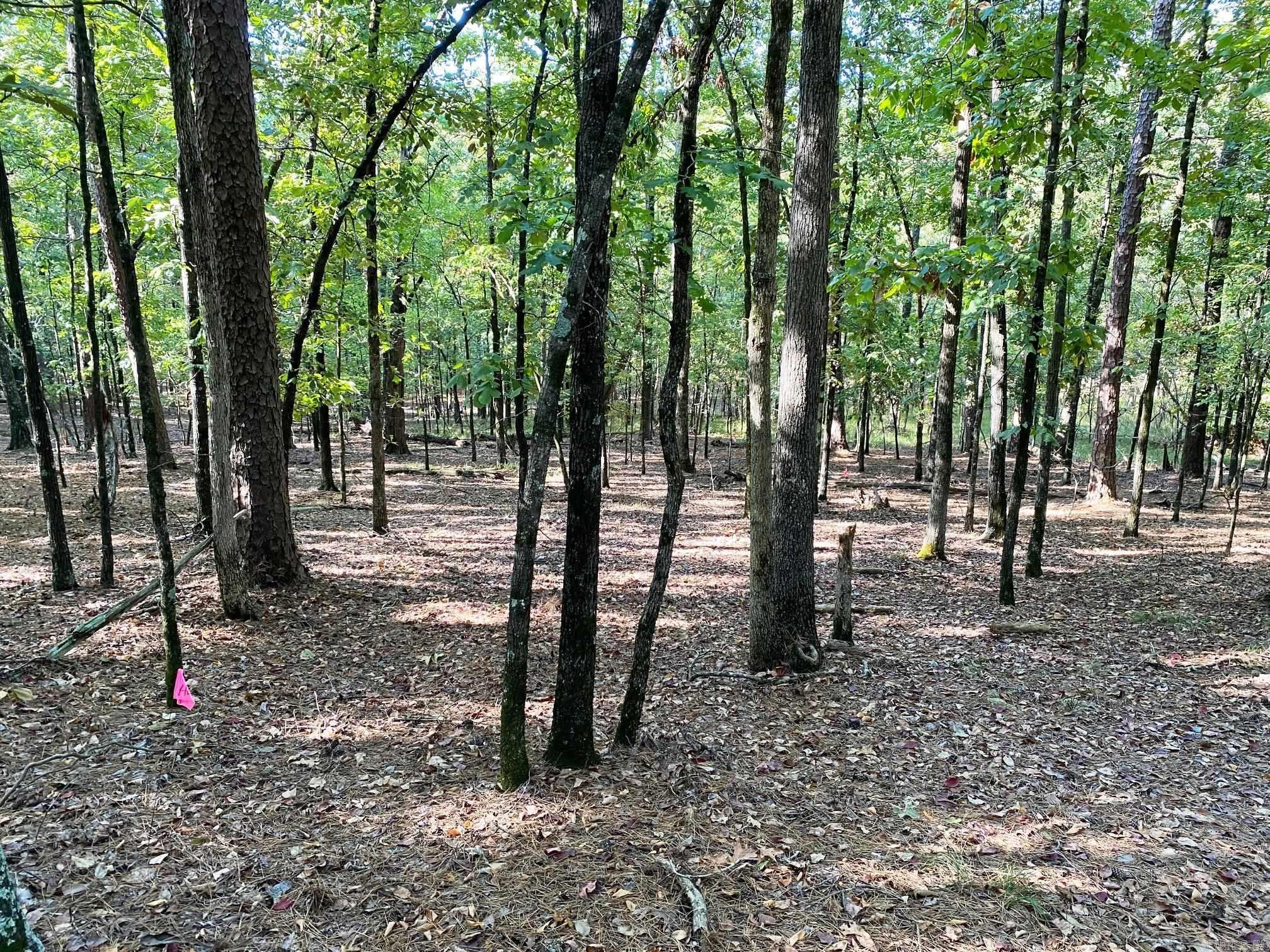 TBD Foxridge  Little Rock, AR