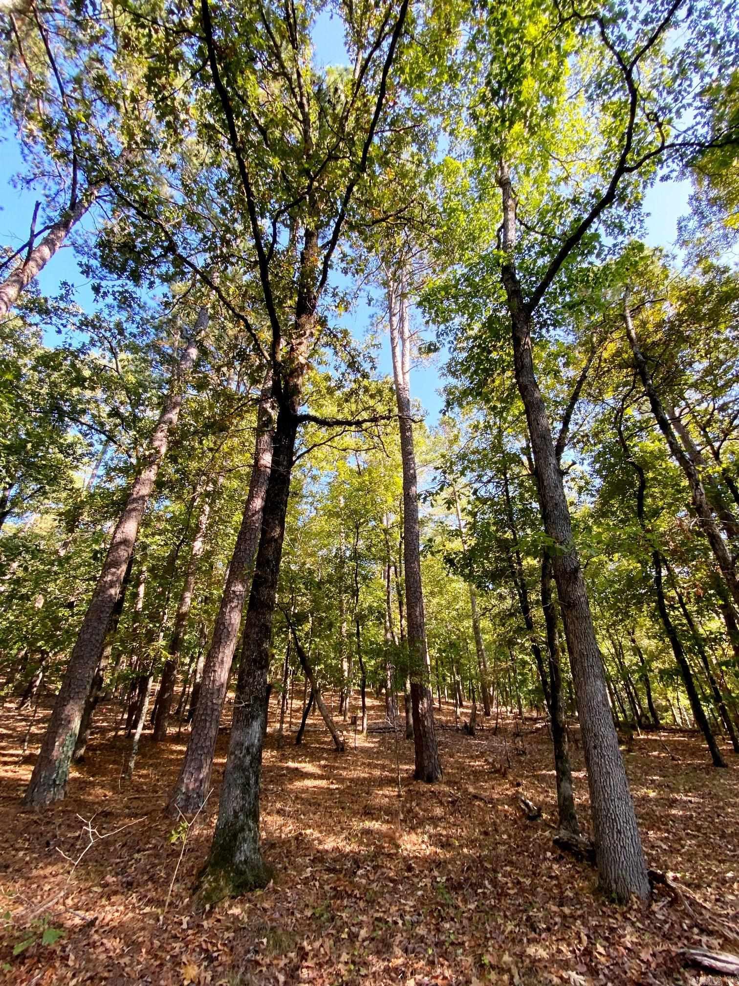 TBD Foxridge  Little Rock, AR