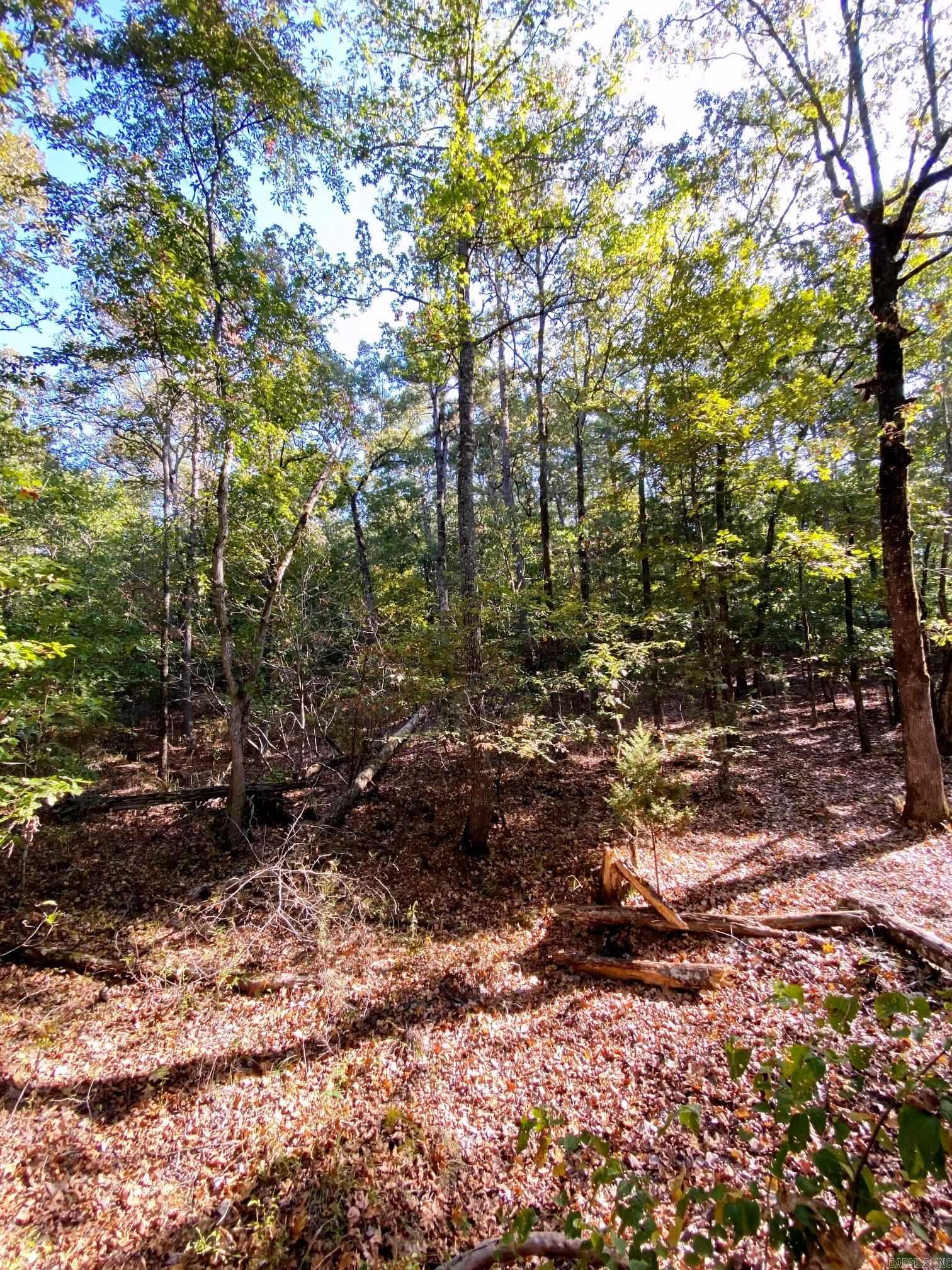 TBD Foxridge  Little Rock, AR