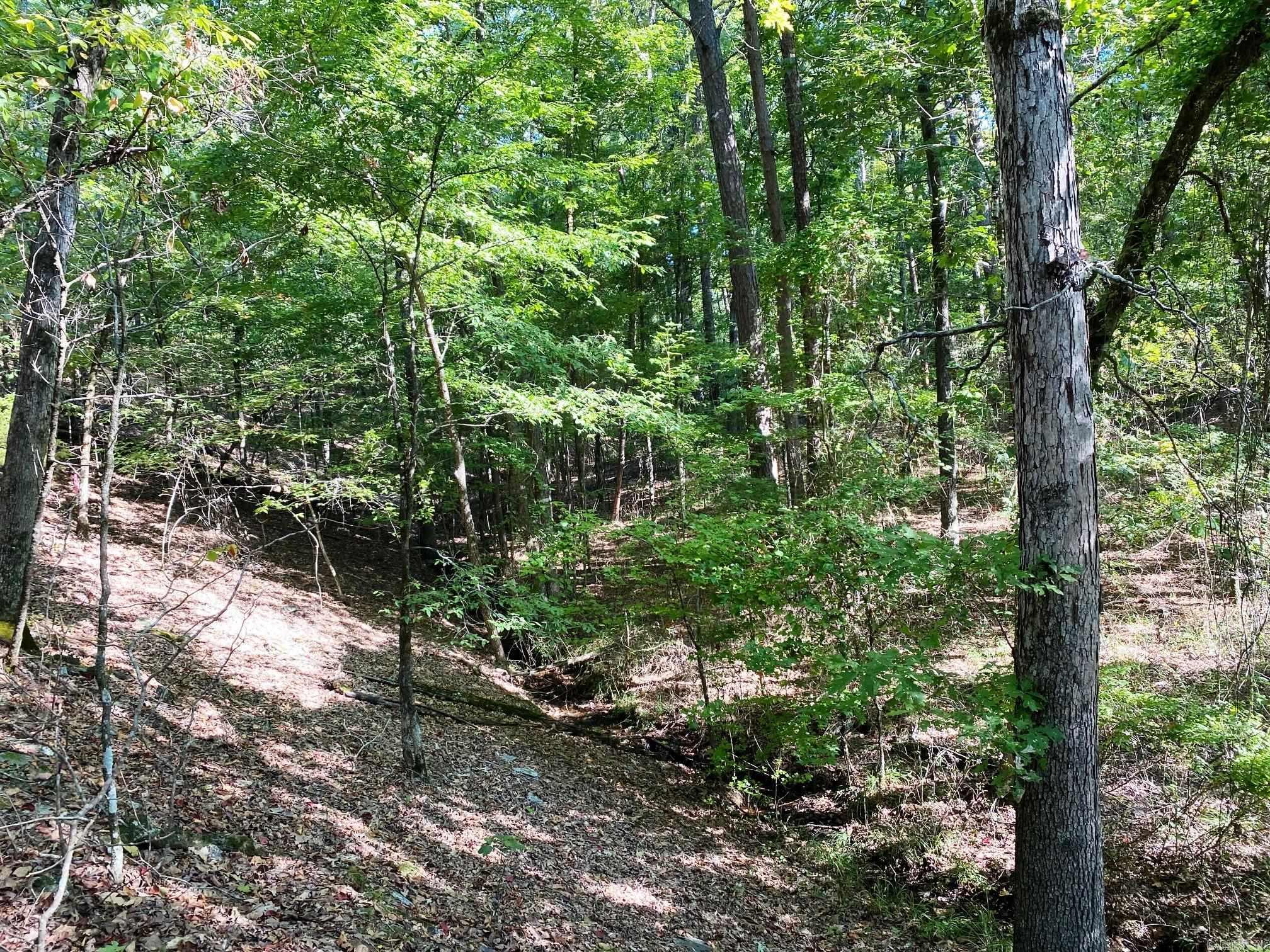 TBD Foxridge  Little Rock, AR