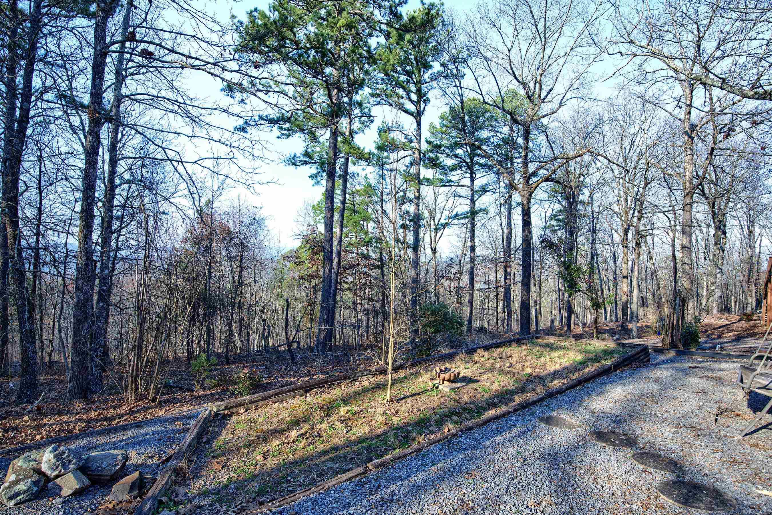 10 Berlanga Circle  Hot Springs Village, AR