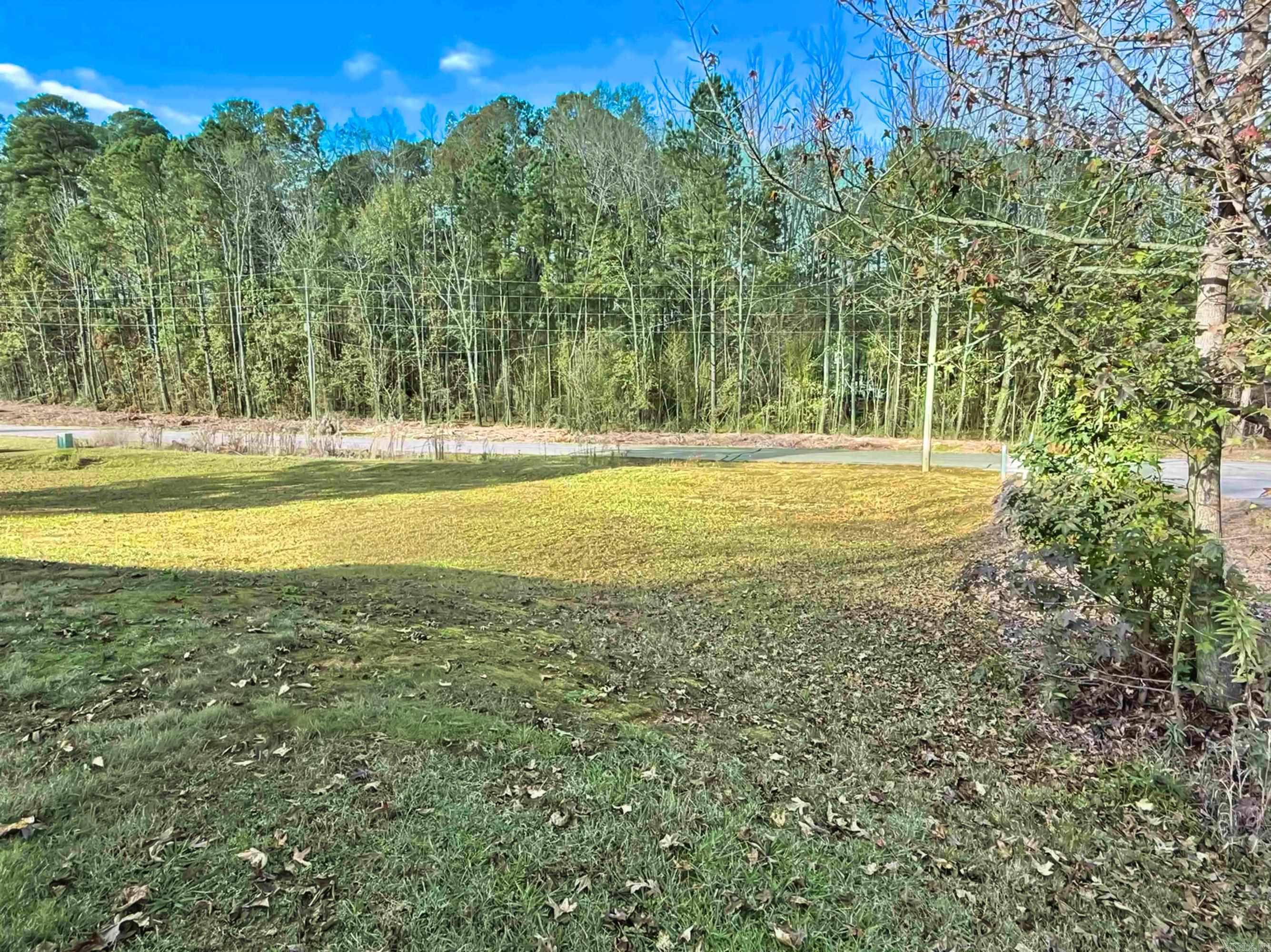 64 Horton HIlls  Sheridan, AR