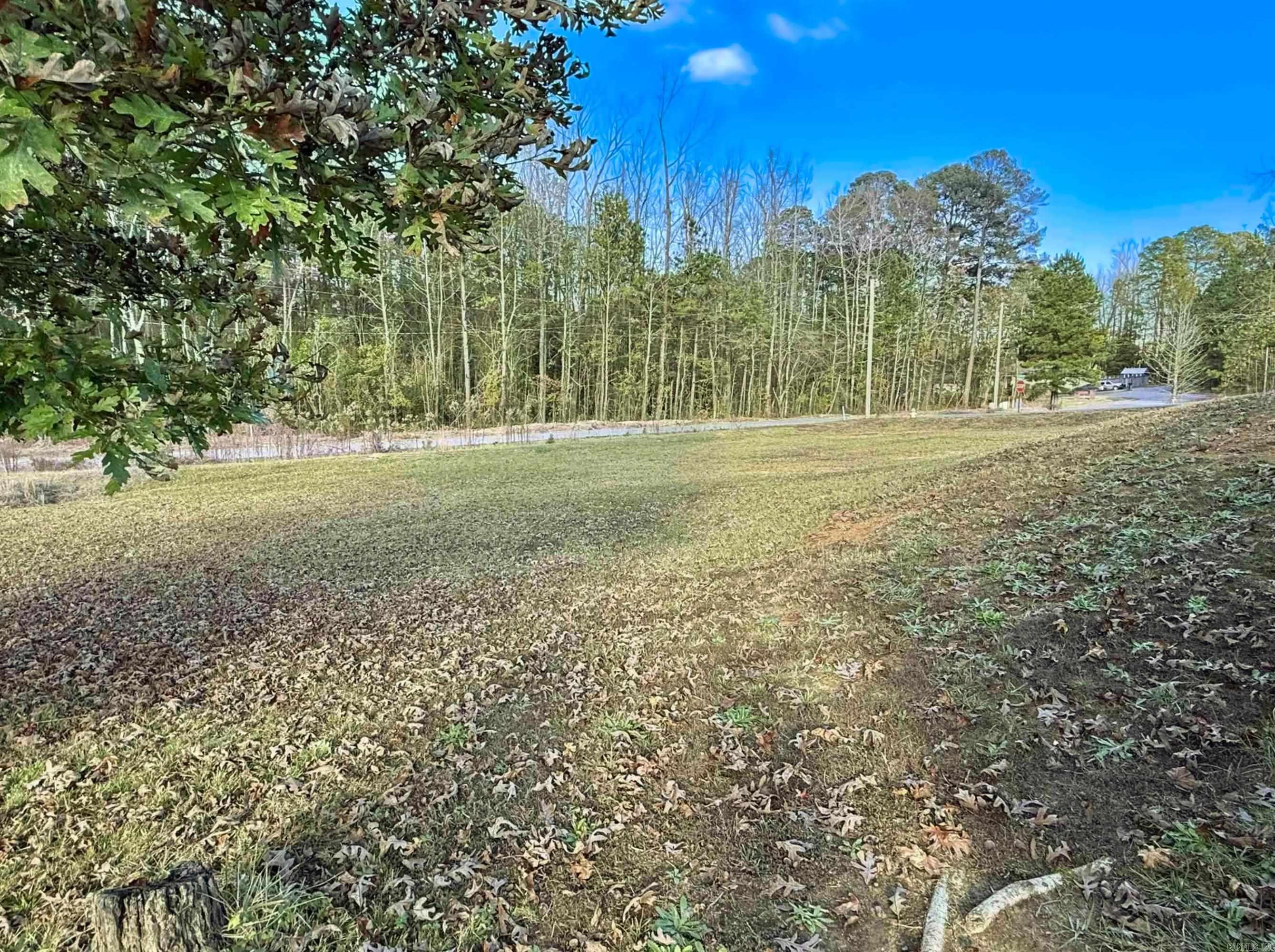 64 Horton HIlls  Sheridan, AR