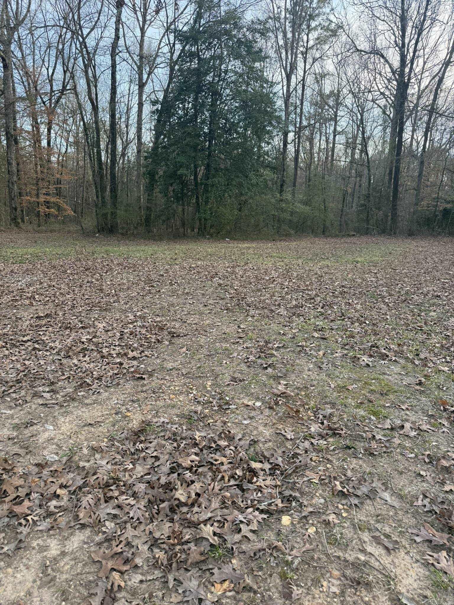 101 Columbia Road 54  Waldo, AR