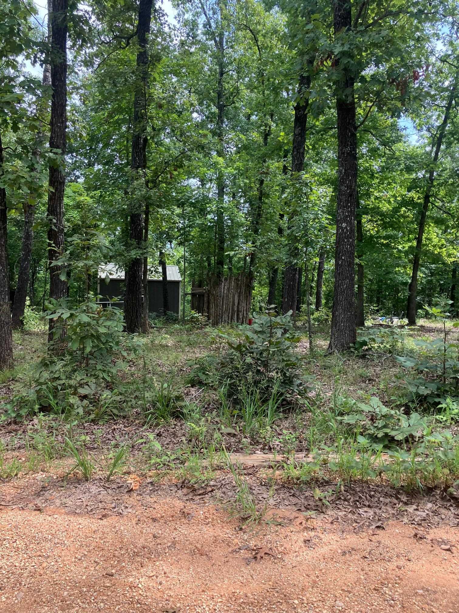 1859 Springwood Road  Hardy, AR