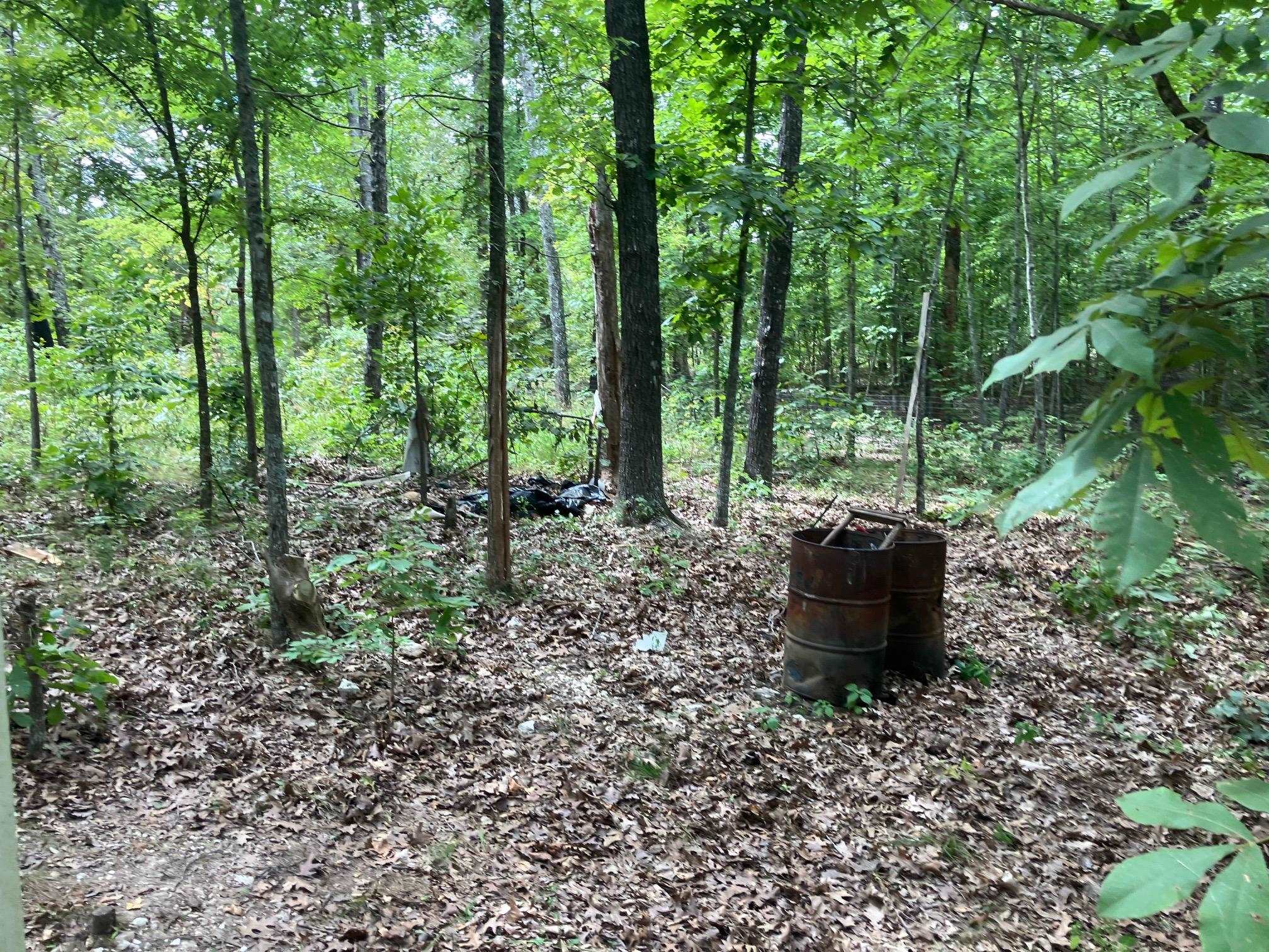 1859 Springwood Road  Hardy, AR