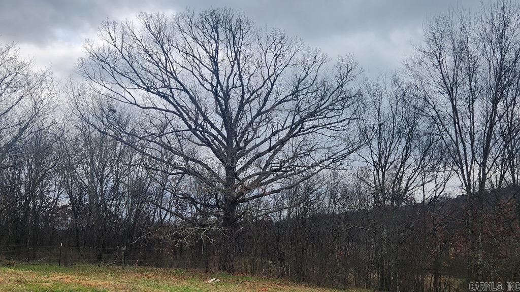 891 Union Hill Road  Story, AR