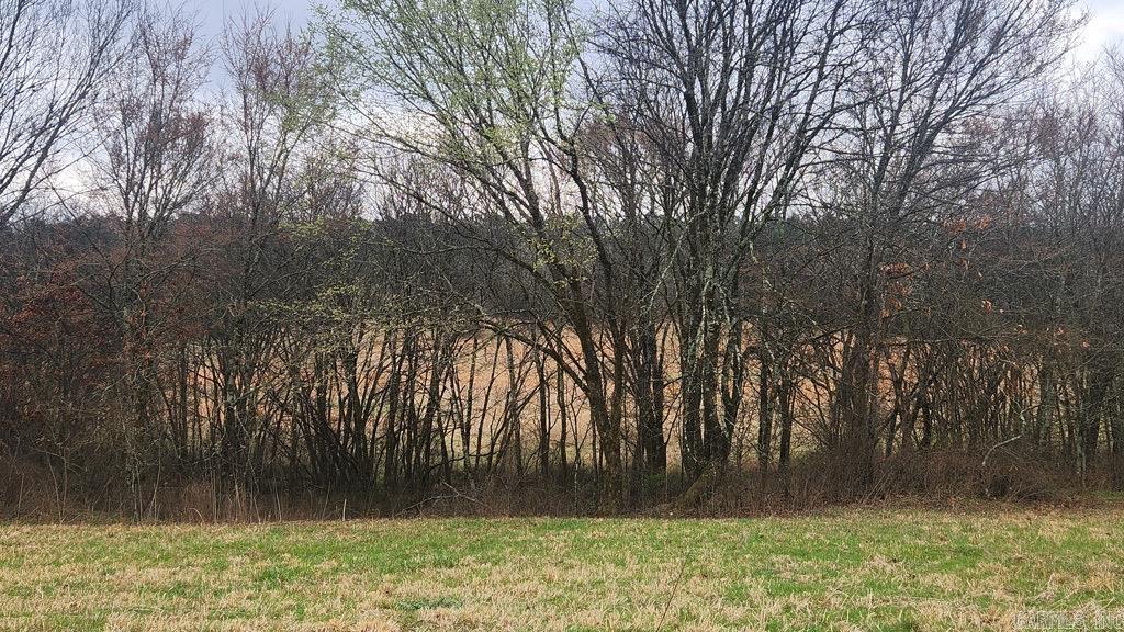 891 Union Hill Road  Story, AR