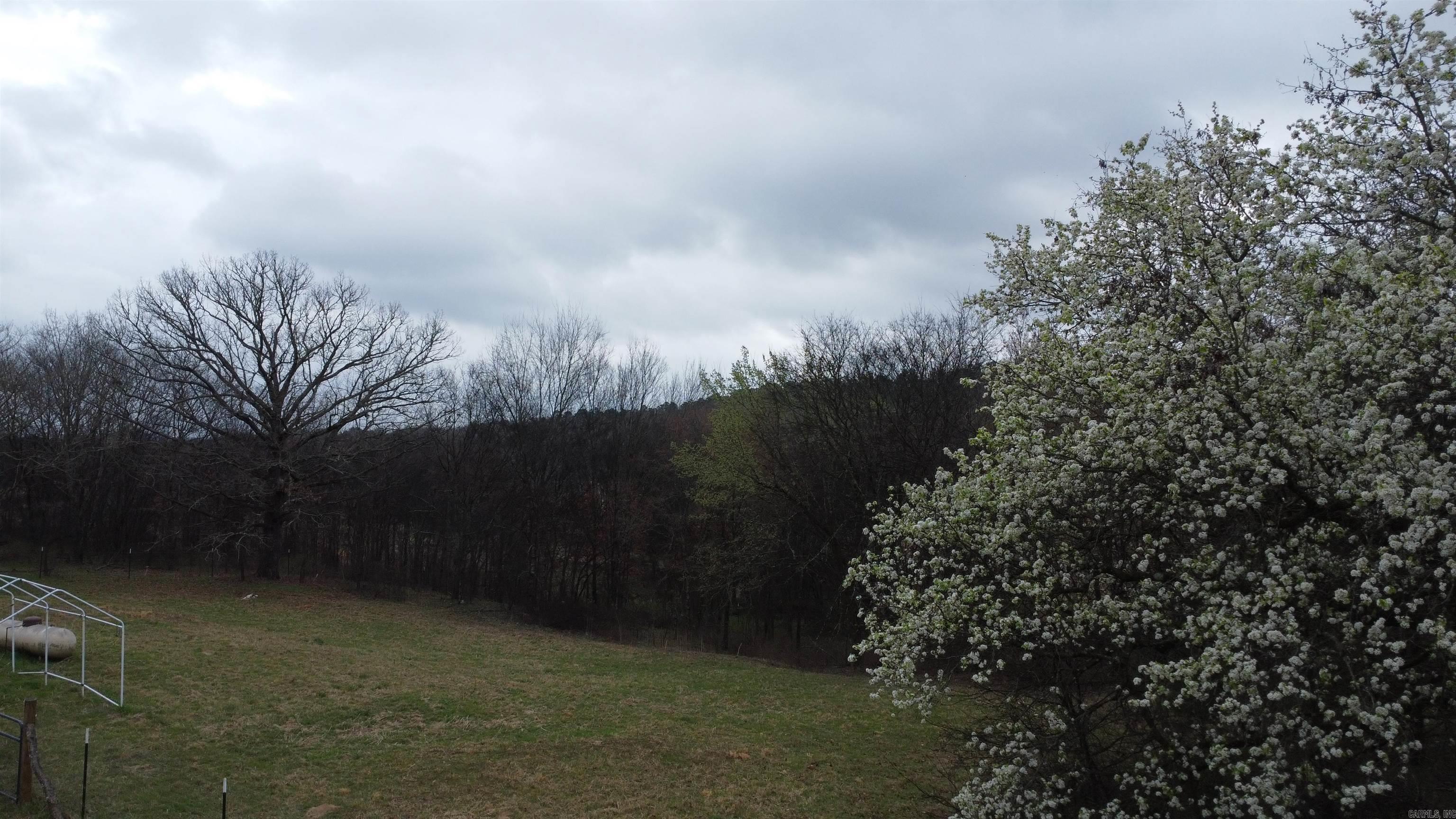 891 Union Hill Road  Story, AR