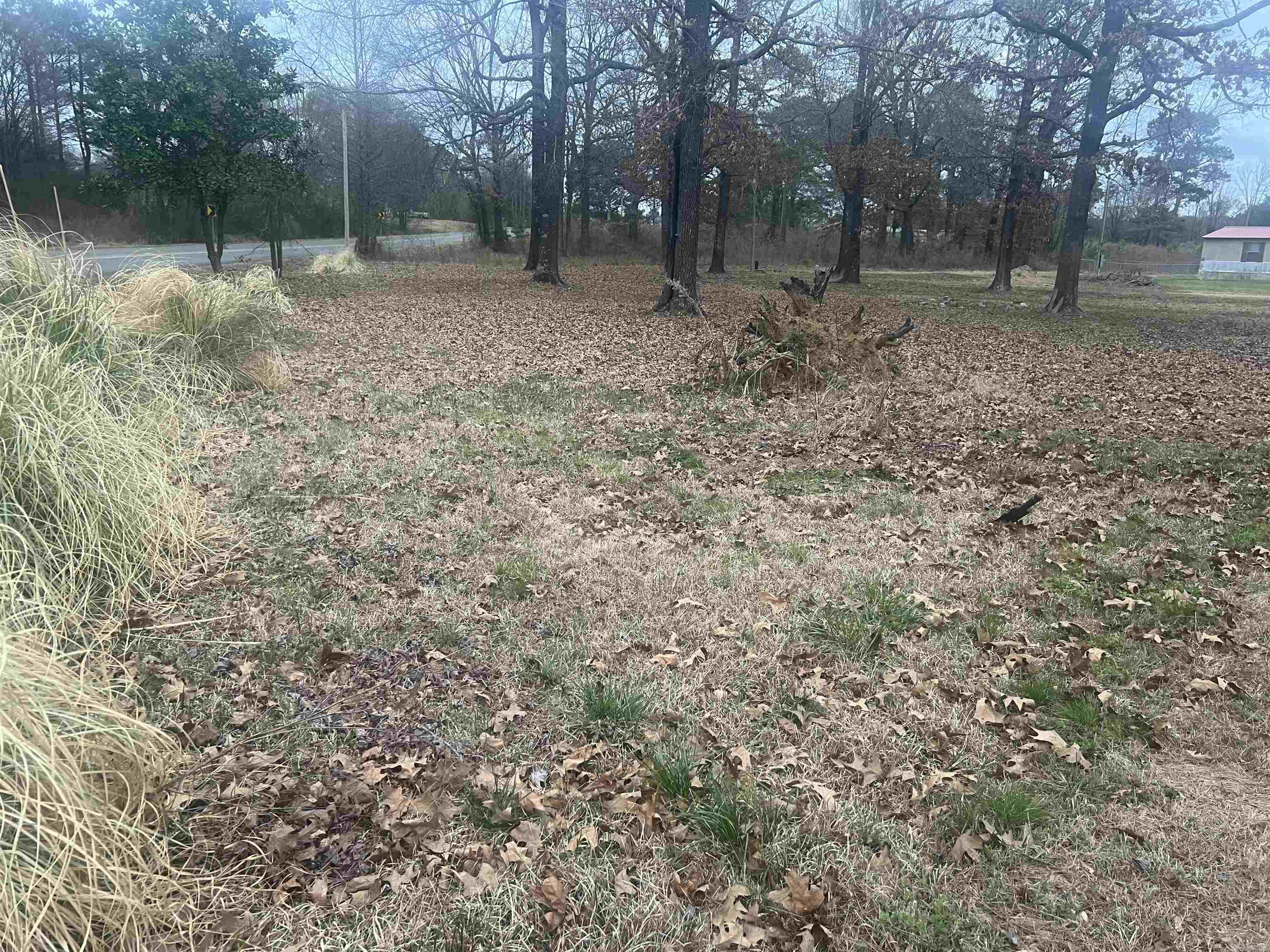 512 HWY 317  Lockesburg, AR