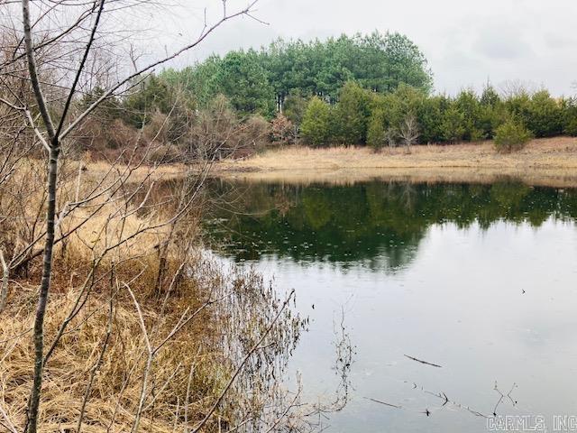 Lot 29 TBD Millstone Dr.  Greenbrier, AR