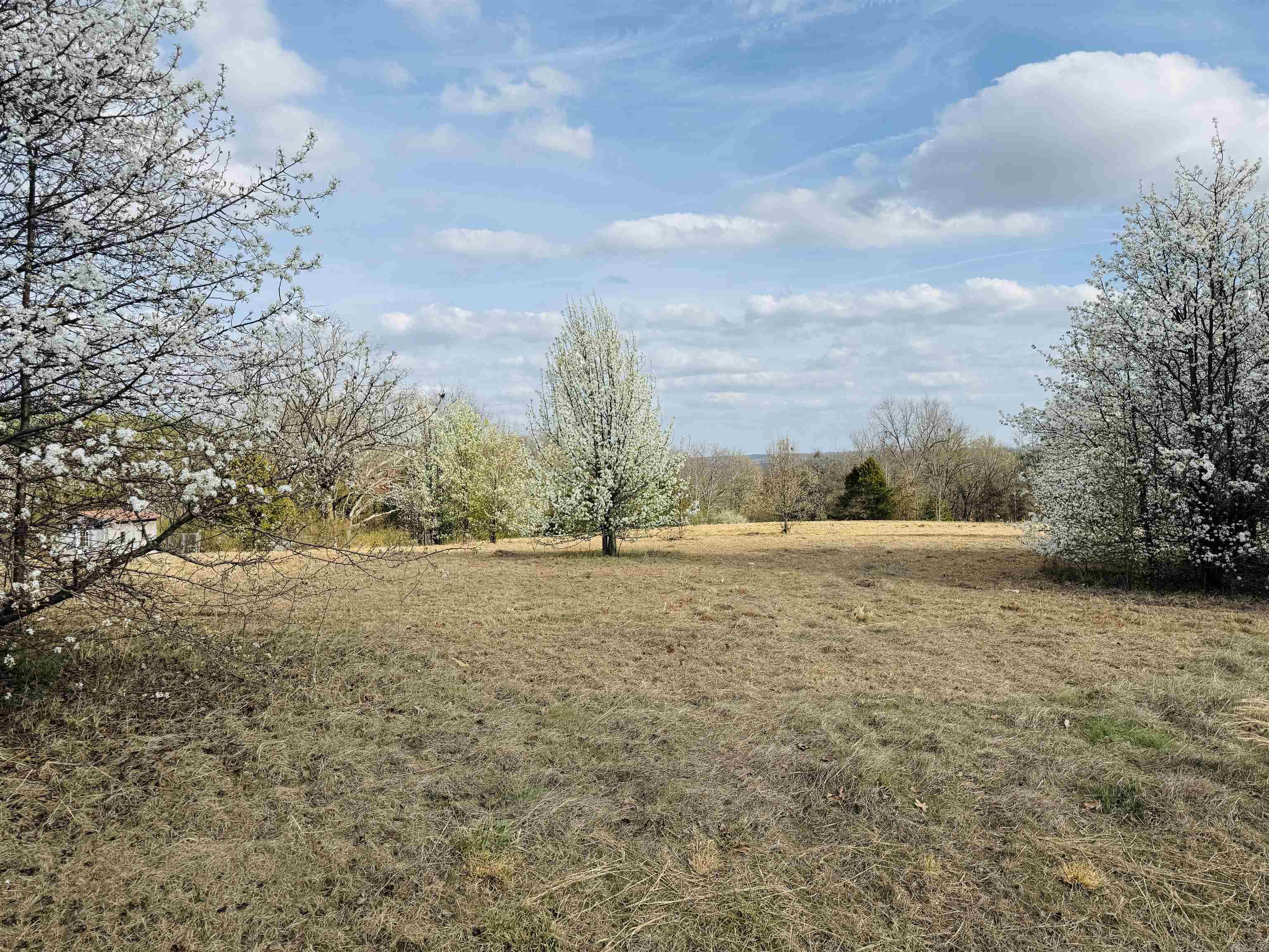 Lot 29 TBD Millstone Dr.  Greenbrier, AR