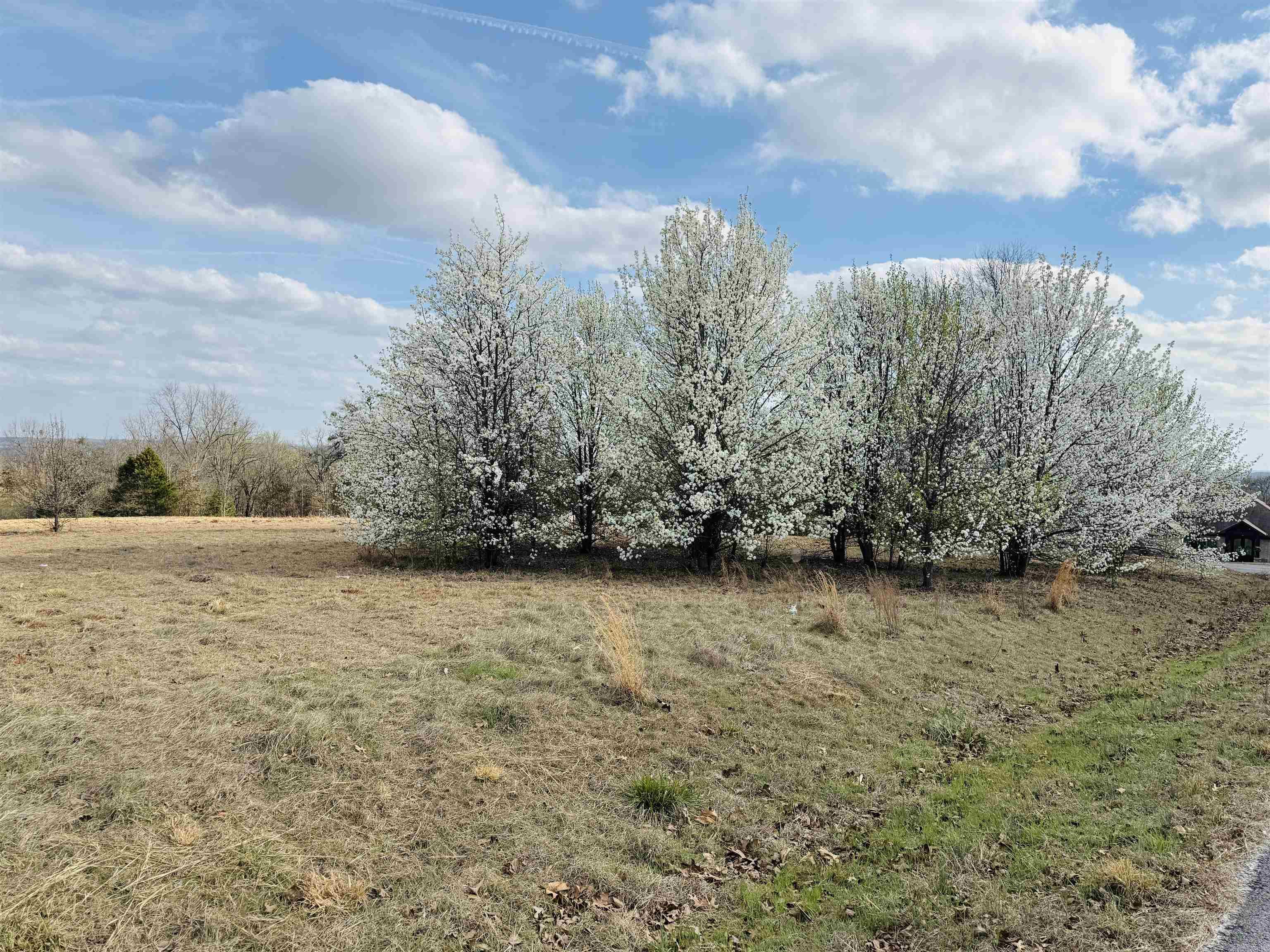 Lot 29 TBD Millstone Dr.  Greenbrier, AR