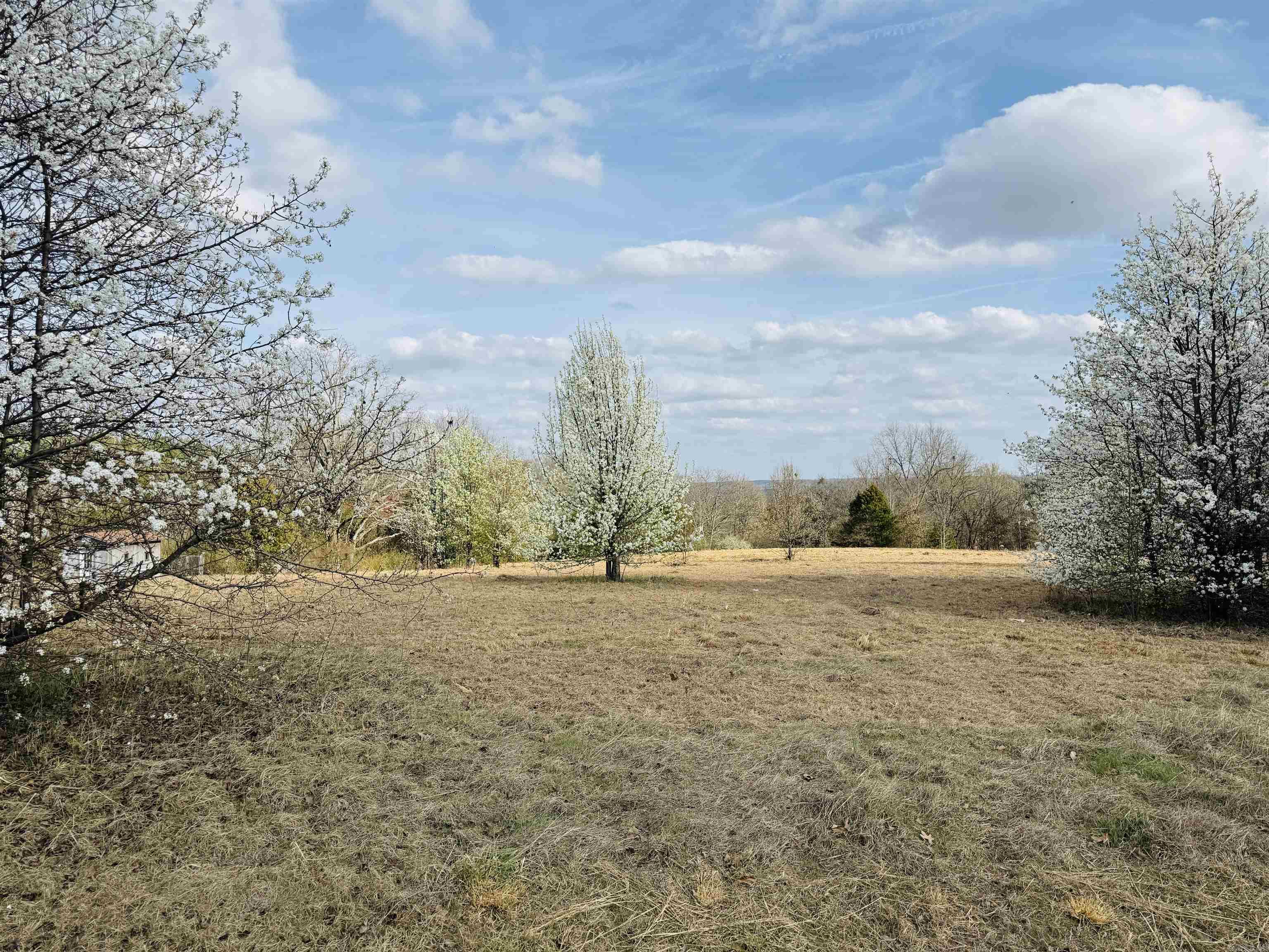 Lot 29 TBD Millstone Dr.  Greenbrier, AR