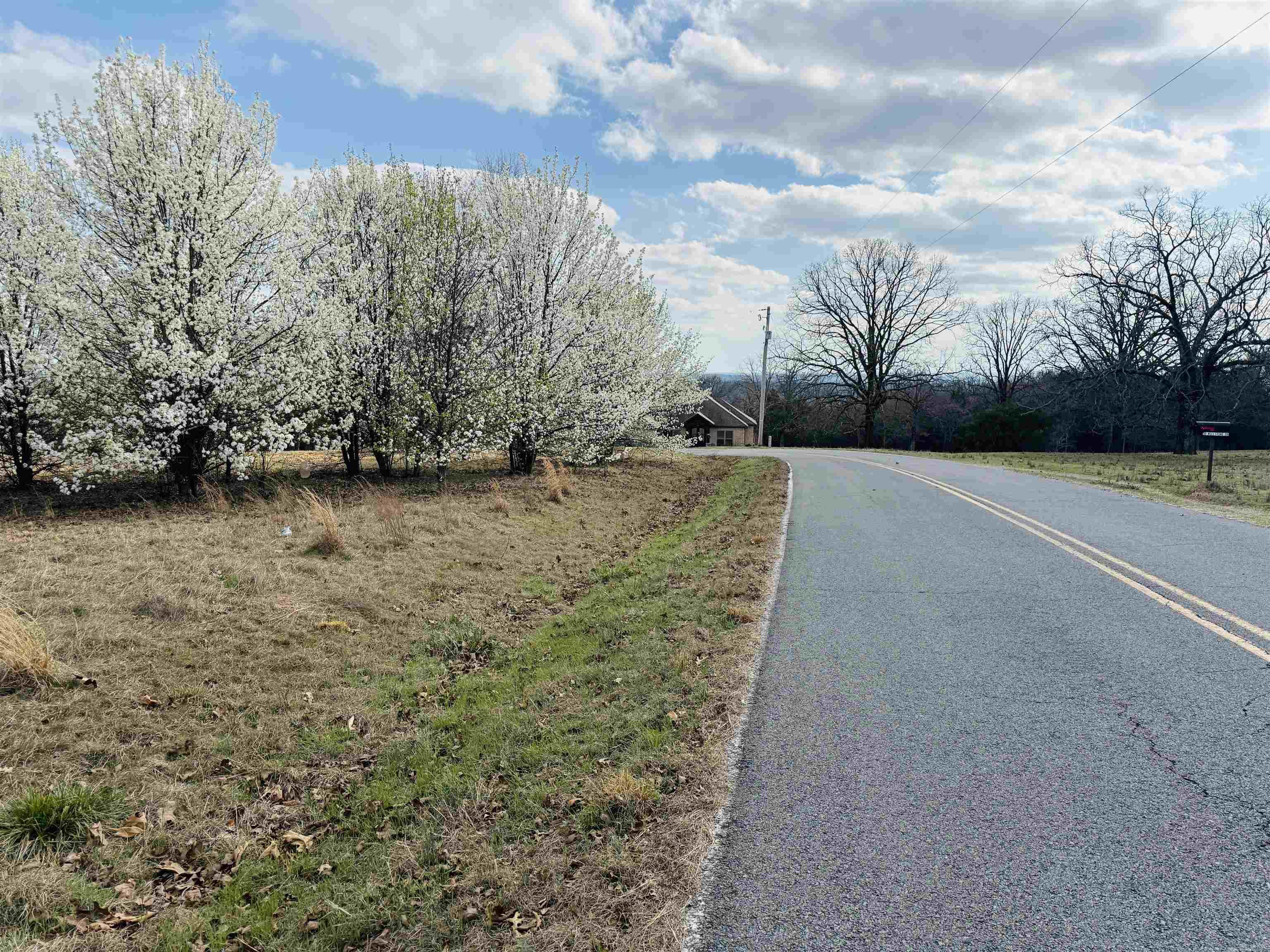Lot 29 TBD Millstone Dr.  Greenbrier, AR