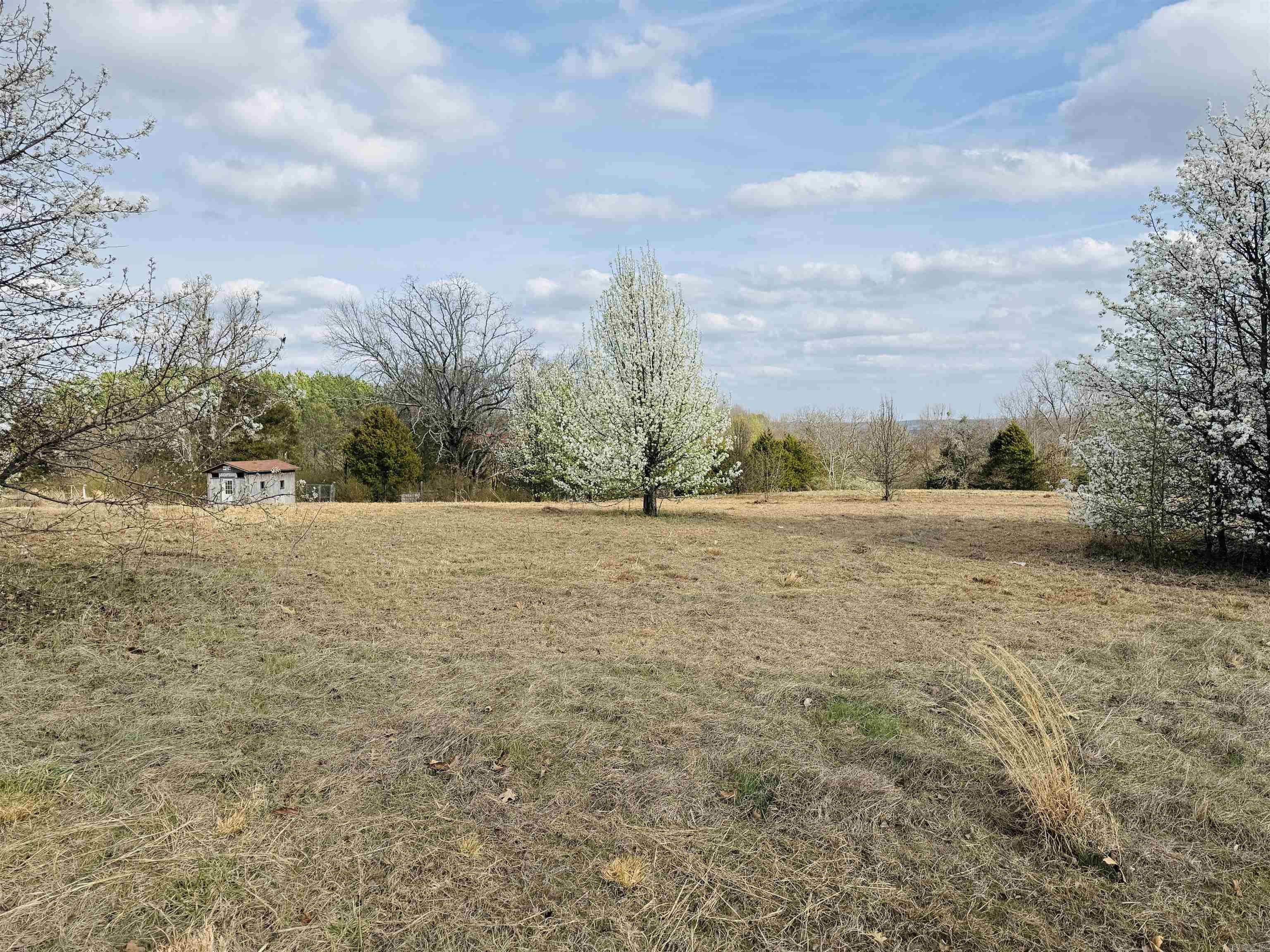 Lot 29 TBD Millstone Dr.  Greenbrier, AR