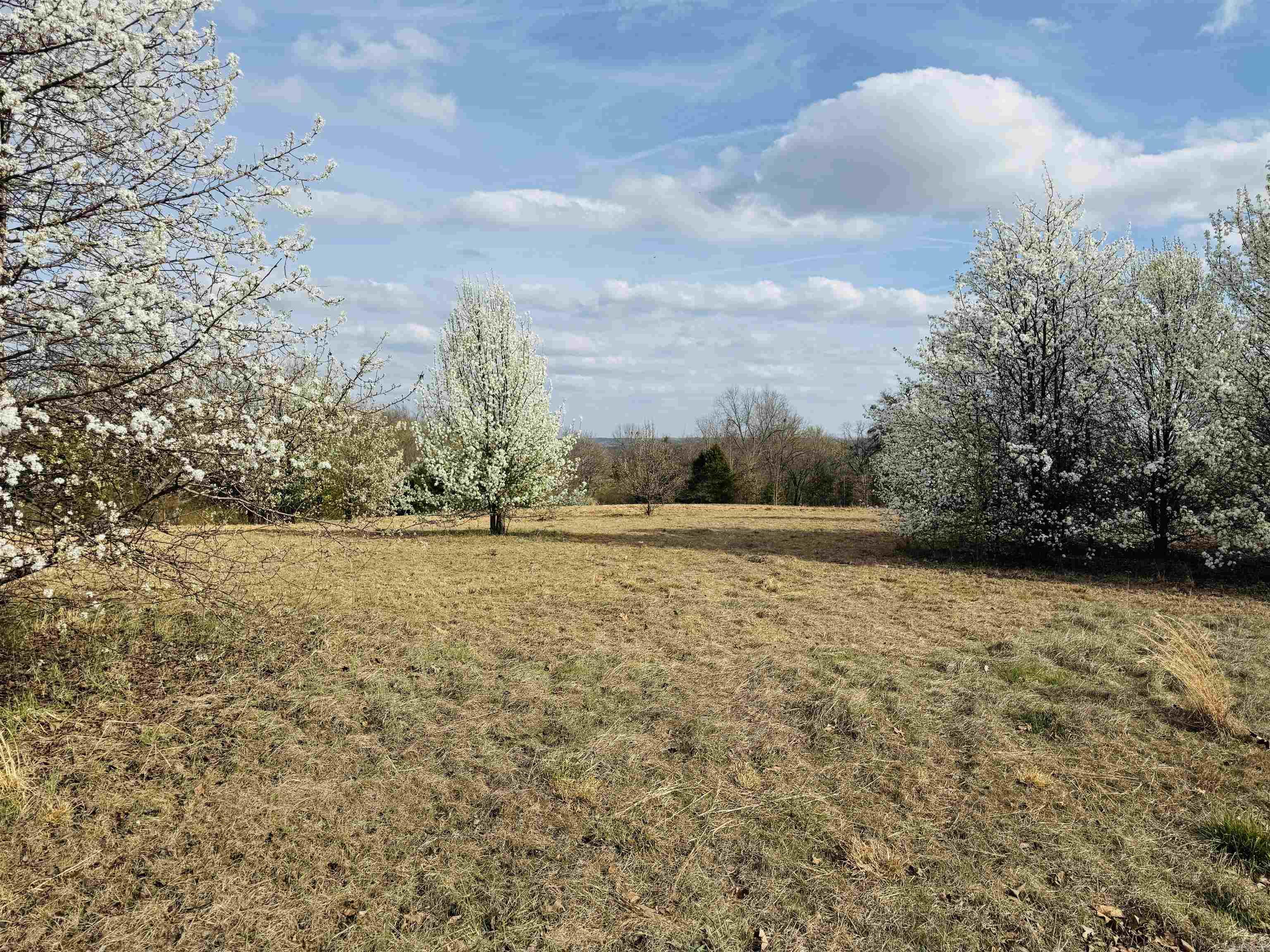 Lot 29 TBD Millstone Dr.  Greenbrier, AR