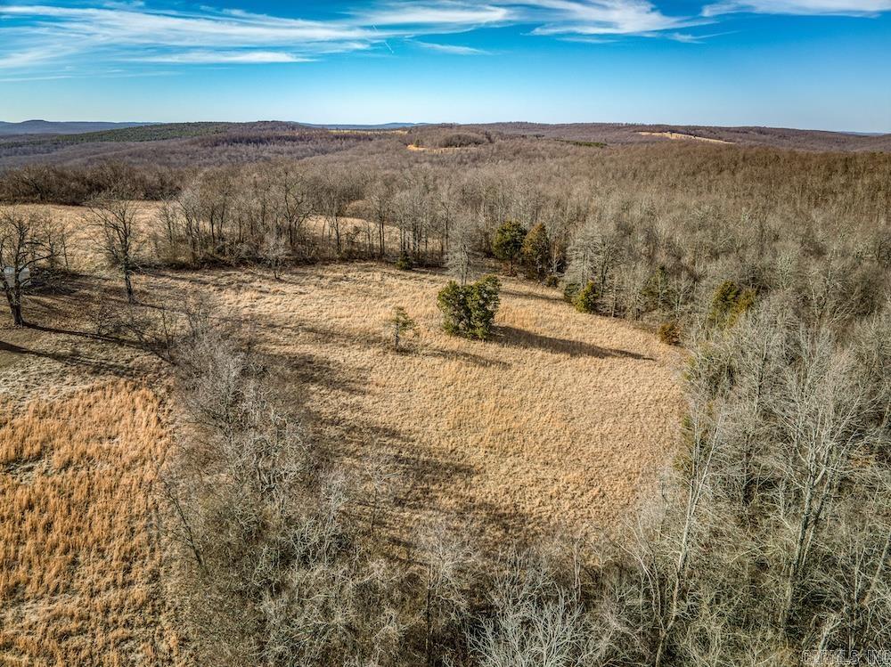 14523 AR-21  Deer, AR