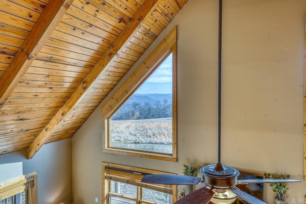 14523 AR-21  Deer, AR