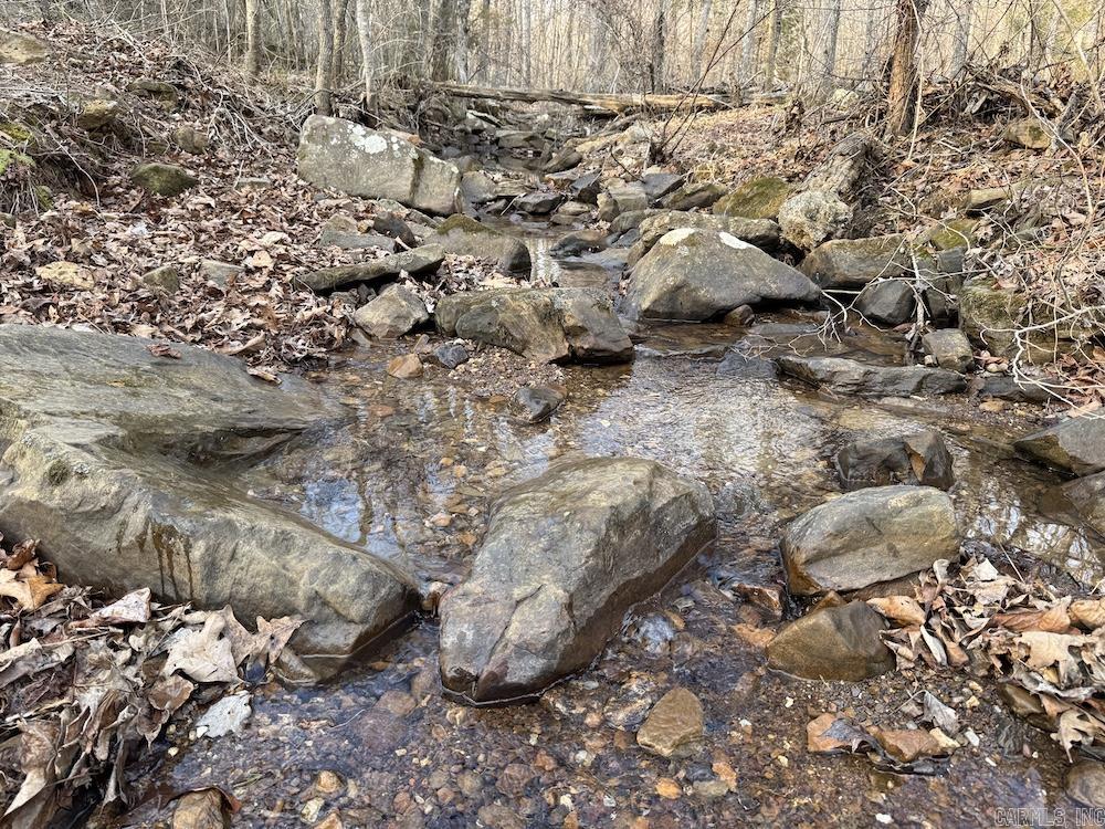 920 Monahan Road  Mountain View, AR