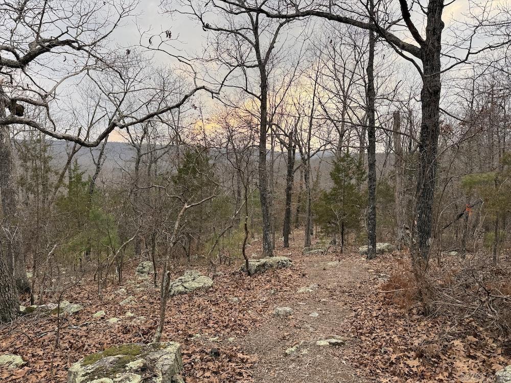 920 Monahan Road  Mountain View, AR