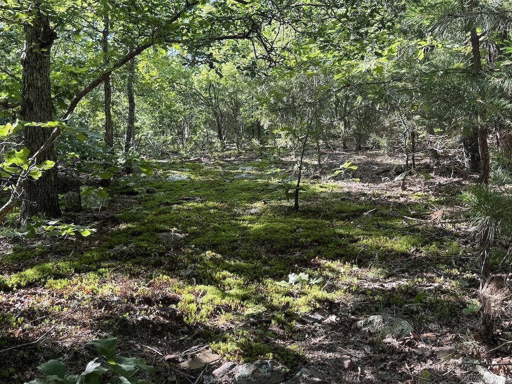 920 Monahan Road  Mountain View, AR