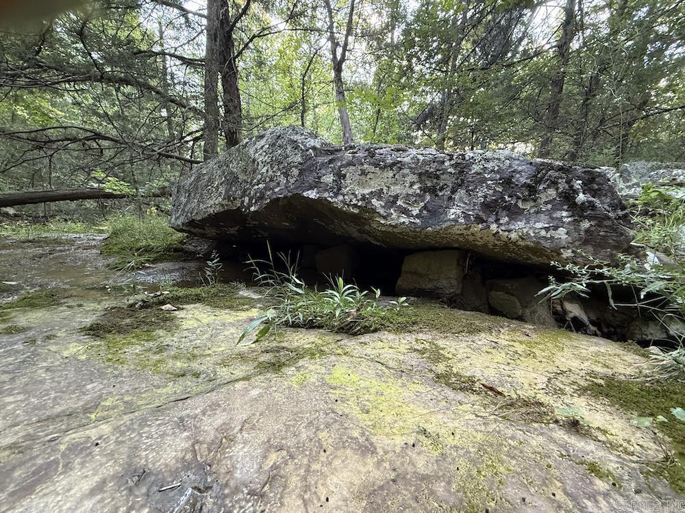 920 Monahan Road  Mountain View, AR