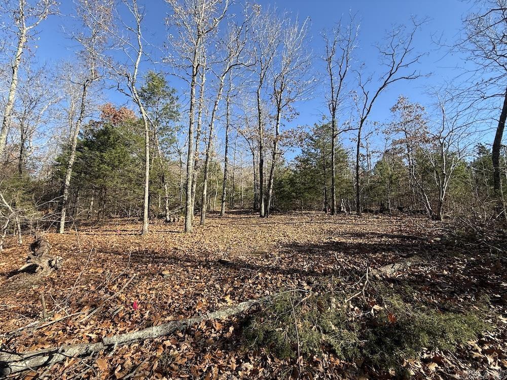 920 Monahan Road  Mountain View, AR