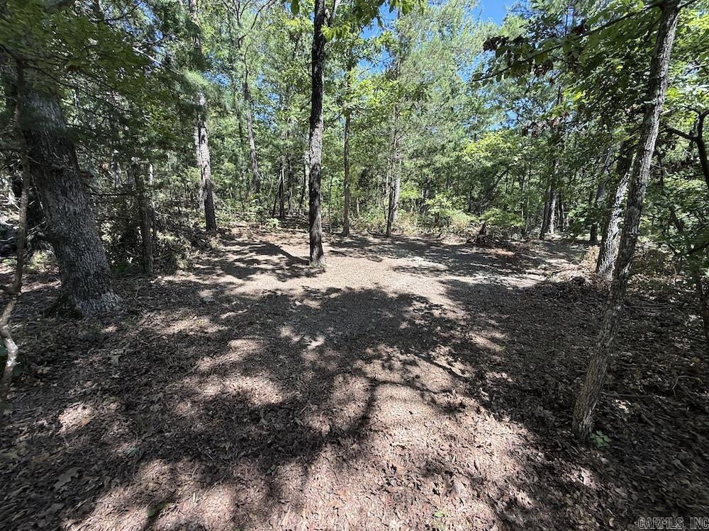 920 Monahan Road  Mountain View, AR