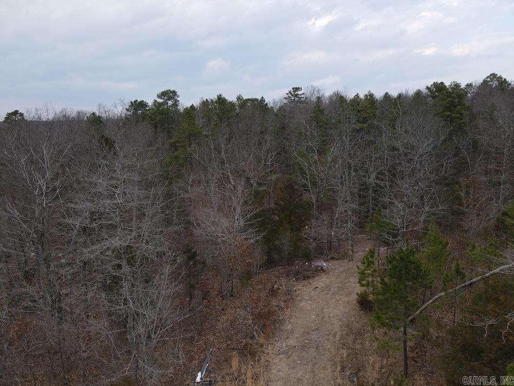 920 Monahan Road  Mountain View, AR