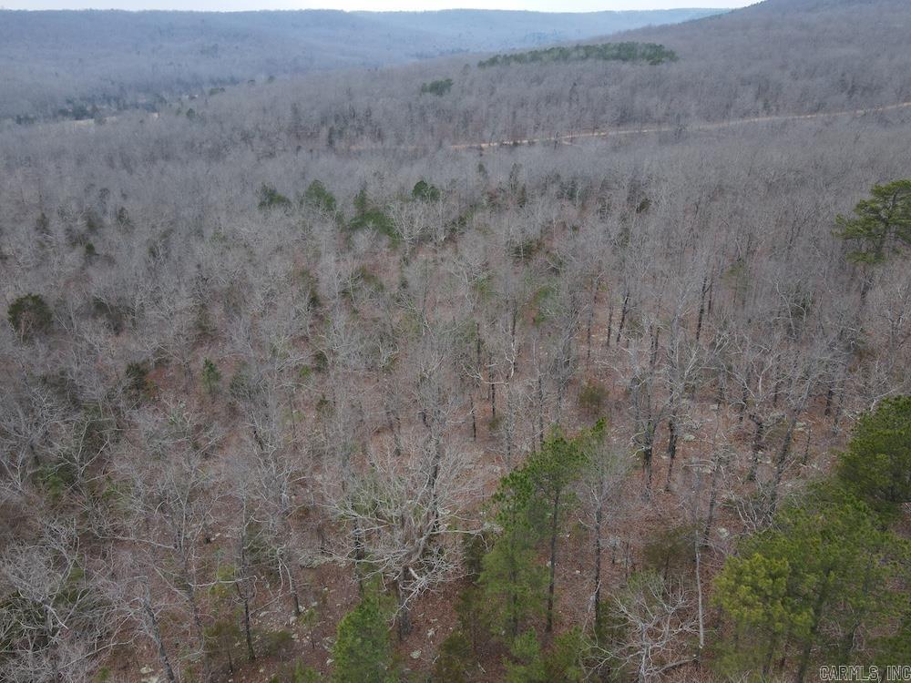 920 Monahan Road  Mountain View, AR