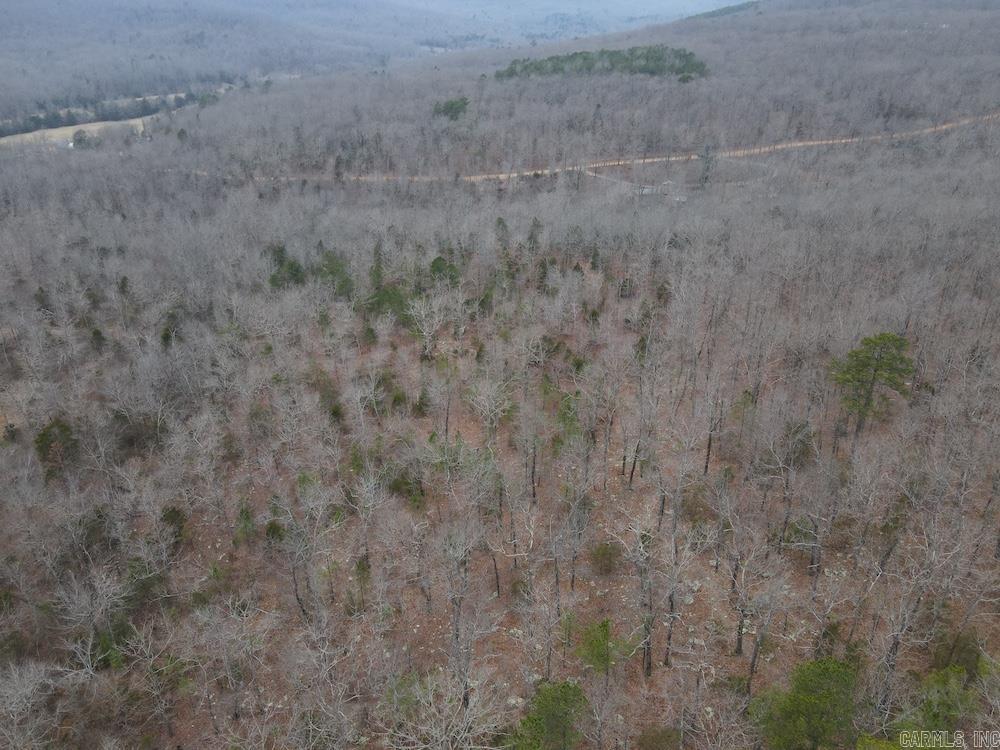 920 Monahan Road  Mountain View, AR