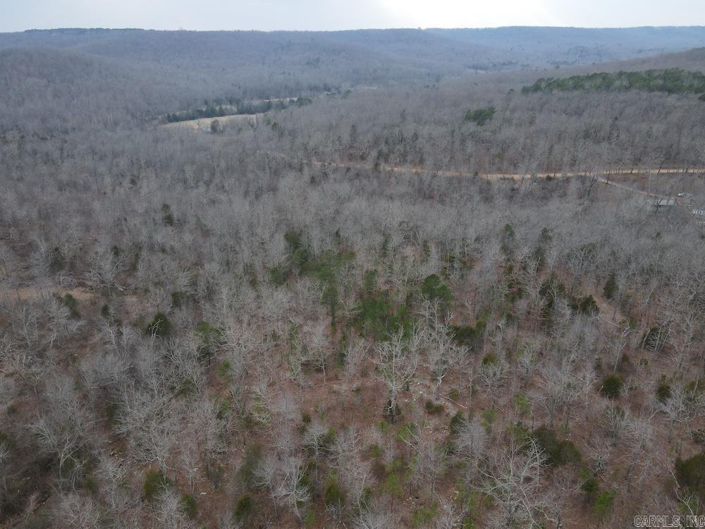 920 Monahan Road  Mountain View, AR