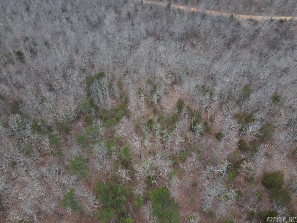 920 Monahan Road  Mountain View, AR