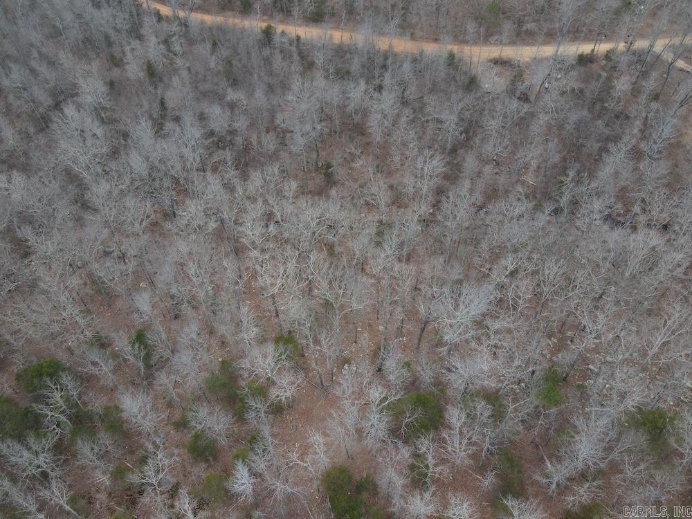 920 Monahan Road  Mountain View, AR