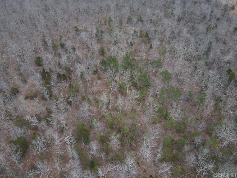 920 Monahan Road  Mountain View, AR