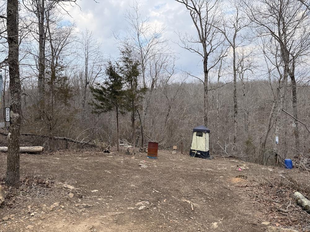 920 Monahan Road  Mountain View, AR