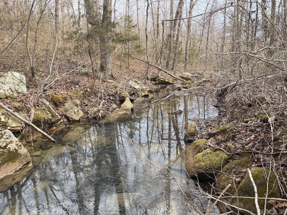 920 Monahan Road  Mountain View, AR