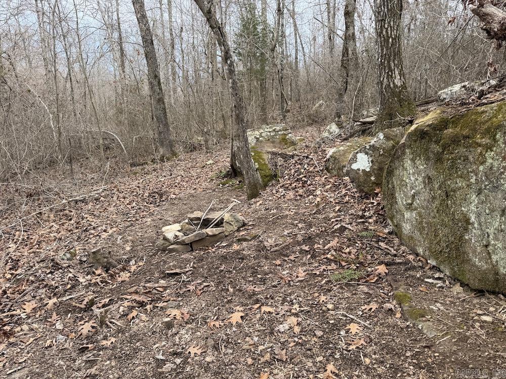 920 Monahan Road  Mountain View, AR